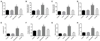 Serine Supplementation Alleviates Doxorubicin-Induced Oxidative Damage in Skeletal Muscle of Mice